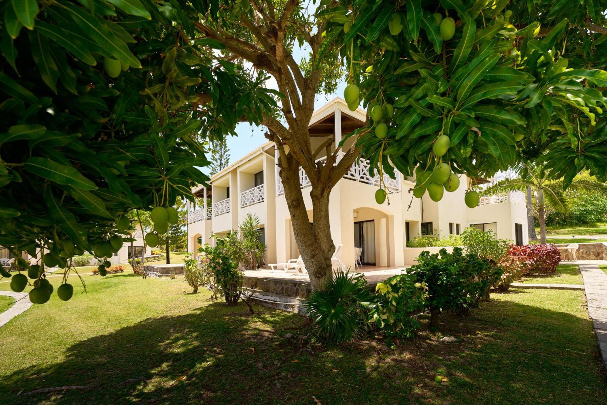 Mount Nevis Hotel エクステリア 写真